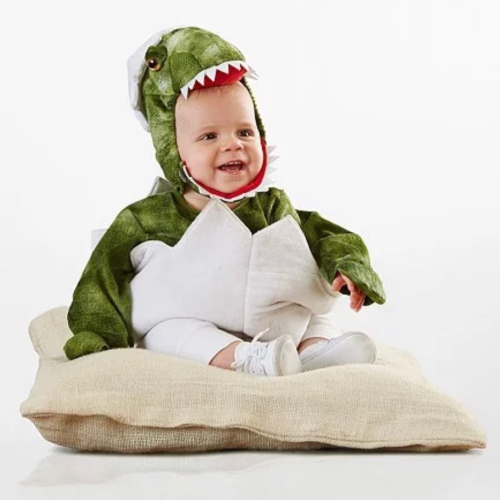 NWT Pottery Barn Dinosaur Hatchling Costume 0-6 Mo